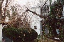 419 N Loudoun - storm damage